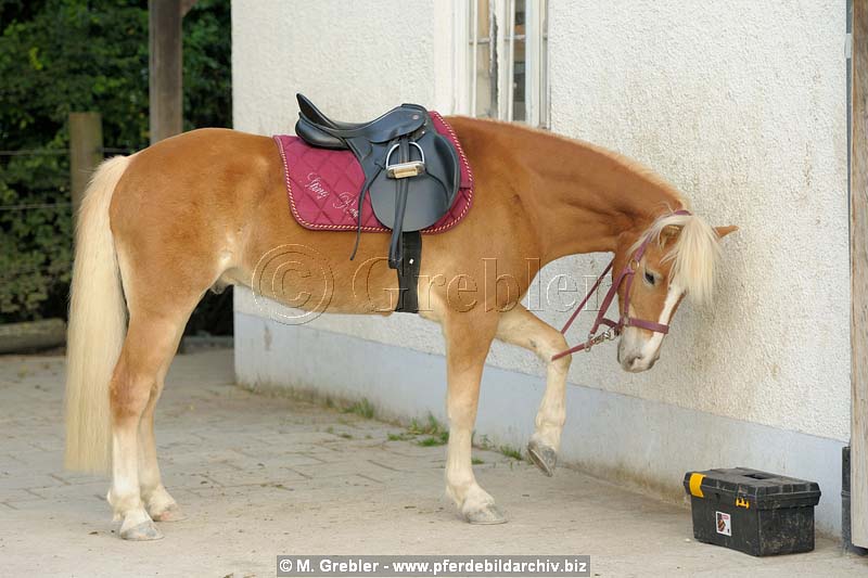 3305-519-29